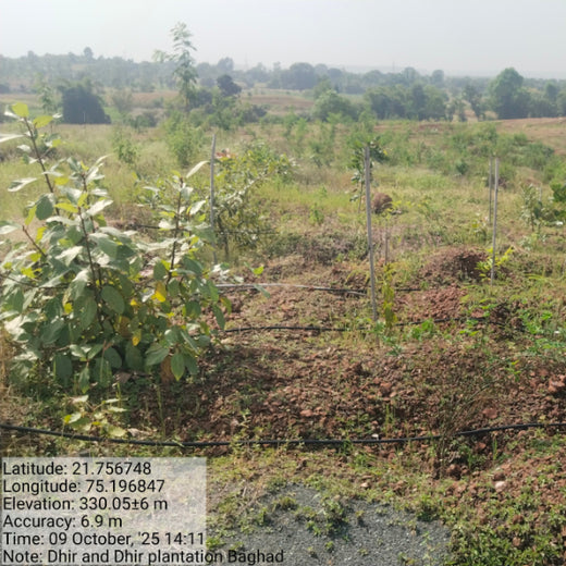 Law Meets Land: Dhir & Dhir Associates Advocates for Community Forests – 6 months