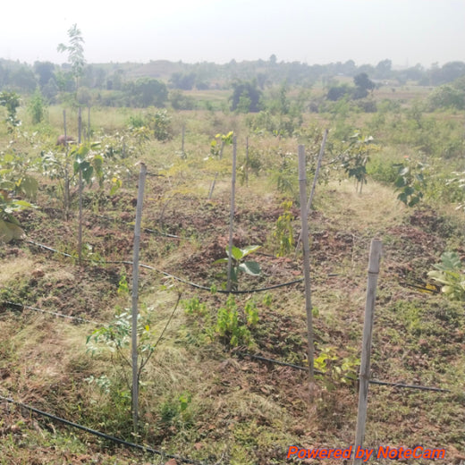 Law Meets Land: Dhir & Dhir Associates Advocates for Community Forests – 6 months