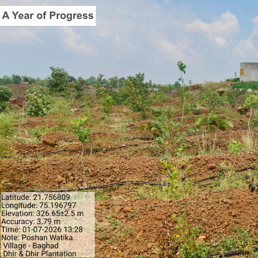 Law Meets Land: Dhir & Dhir Associates Advocates for Community Forests – 1 year