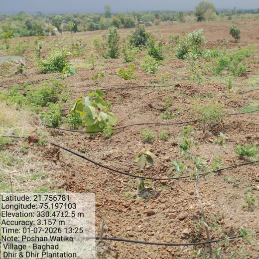 Law Meets Land: Dhir & Dhir Associates Advocates for Community Forests – 1 year