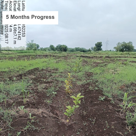 Digital Connexion Goes Green: Cultivating a Sustainable Future – 1 year