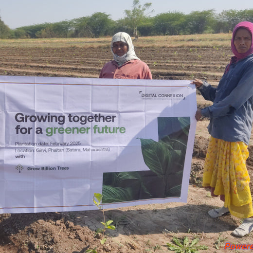 Digital Connexion Goes Green: Cultivating a Sustainable Future – Planting