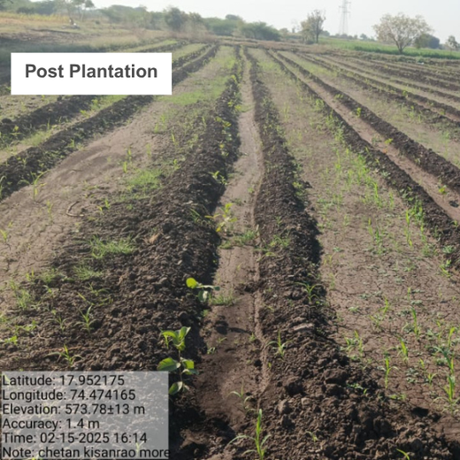 Digital Connexion Goes Green: Cultivating a Sustainable Future – 6 months