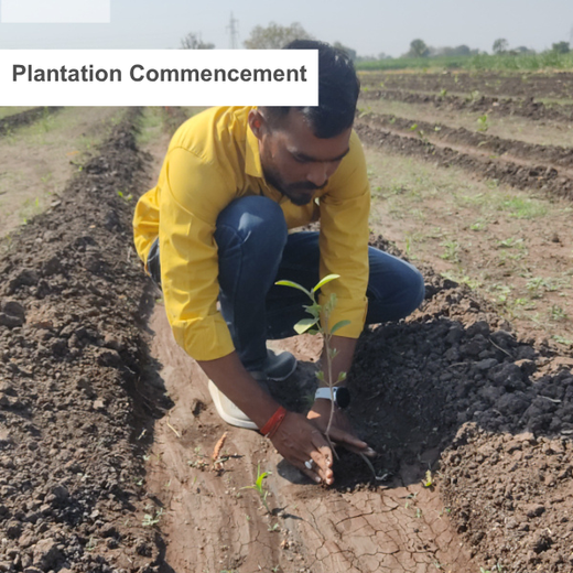 Digital Connexion Goes Green: Cultivating a Sustainable Future – Planting