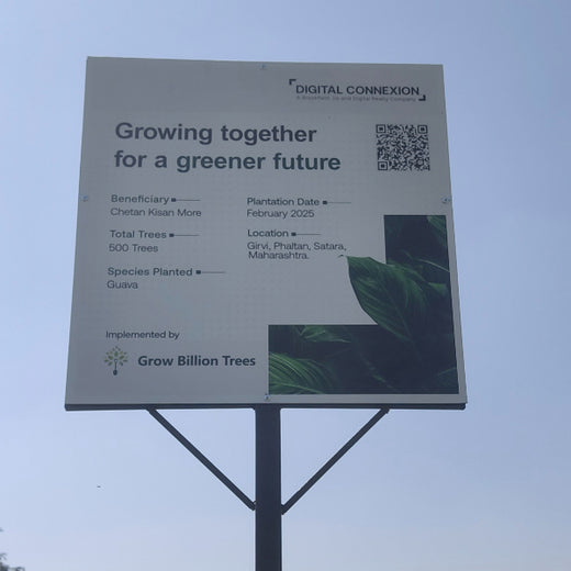 Digital Connexion Goes Green: Cultivating a Sustainable Future – Planting