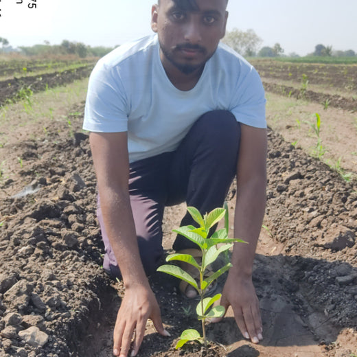 Digital Connexion Goes Green: Cultivating a Sustainable Future – Planting