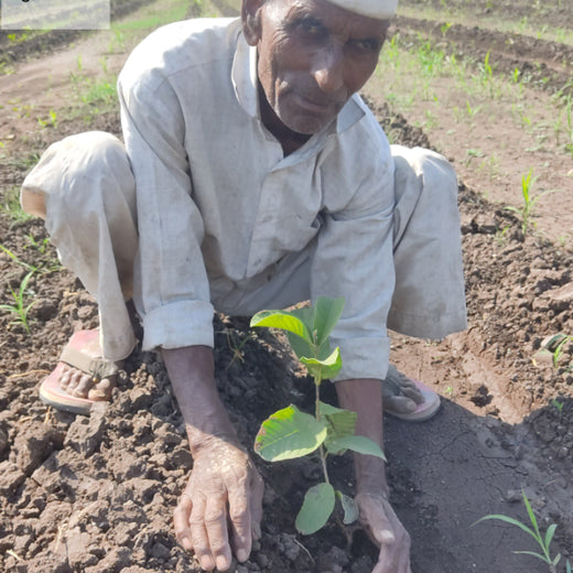 Digital Connexion Goes Green: Cultivating a Sustainable Future – Planting