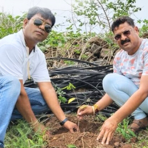 Branching Out: Digital Achievers Hub's Green Initiative for Subscribers – Planting