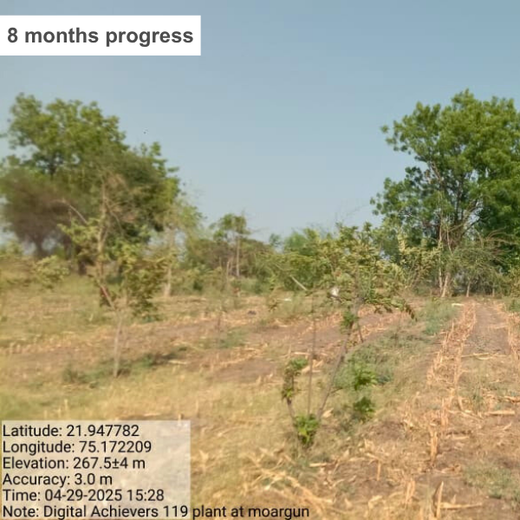 Branching Out: Digital Achievers Hub's Green Initiative for Subscribers – 6 months