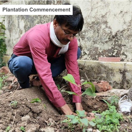 Branching Out: Digital Achievers Hub's Green Initiative for Subscribers – Planting
