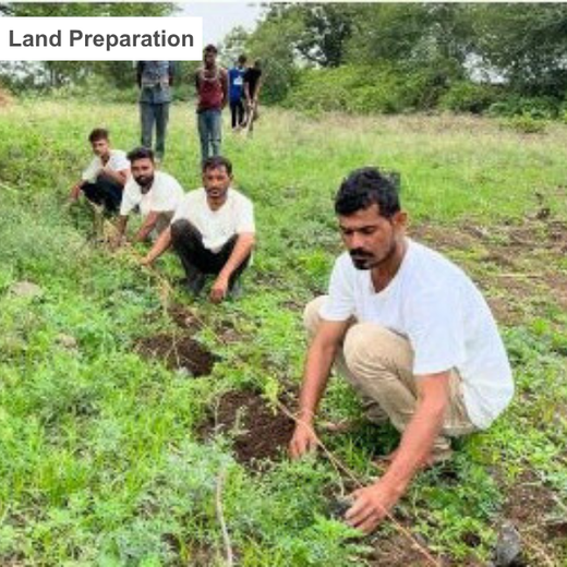 Branching Out: Digital Achievers Hub's Green Initiative for Subscribers – Planting