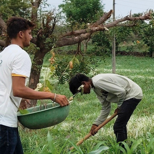 Branching Out: Digital Achievers Hub's Green Initiative for Subscribers – Planting