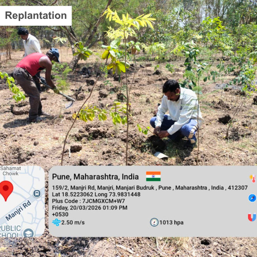 Digital Roots, Green Shoots: DOT PROFESSIONALS'  Urban Forest CSR Drive – 1 year