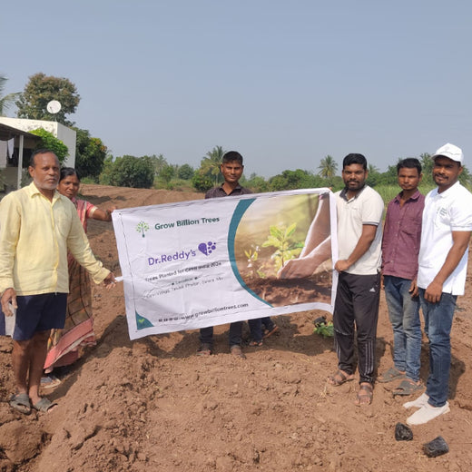 Planting Impact at CPHI India 2024: Dr. Reddy’s Agroforestry Journey – Planting