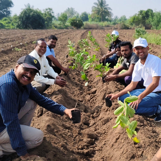 Planting Impact at CPHI India 2024: Dr. Reddy’s Agroforestry Journey – Planting
