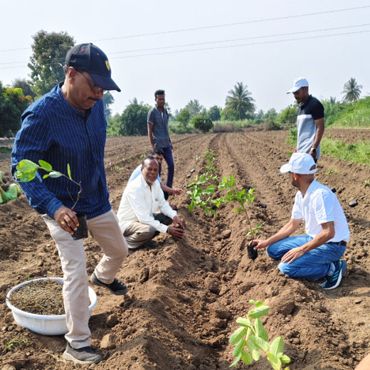 Planting Impact at CPHI India 2024: Dr. Reddy’s Agroforestry Journey – Planting
