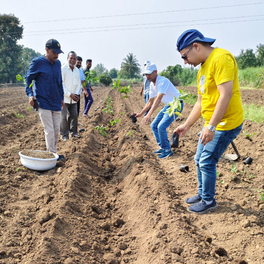 Planting Impact at CPHI India 2024: Dr. Reddy’s Agroforestry Journey – Planting