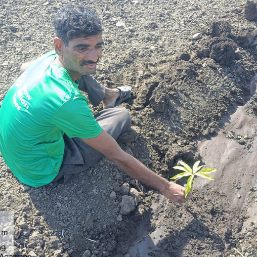 Dr. Reddy’s Empowering Farmers for a Greener Tomorrow – 6 months