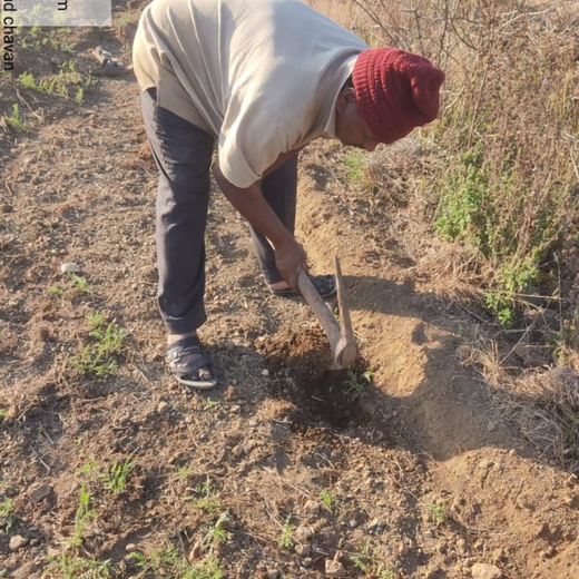 Dr. Reddy’s Empowering Farmers for a Greener Tomorrow – Planting