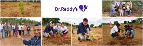 Dr. Reddy's Initiative For Balancing Carbon Footprint:  Agroforestry Plantation