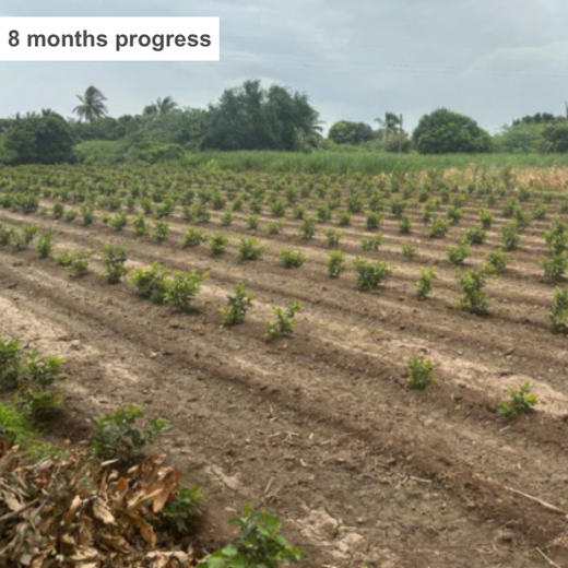 Dr. Reddy’s Green Commitment for Every Connection at CPHI Milan 2024 – 6 months