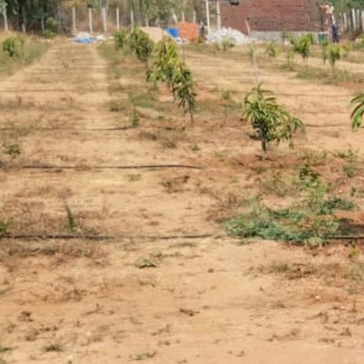 Balancing Carbon Footprint: Dr. Reddy’s Laboratories Green Initiative – 6 months