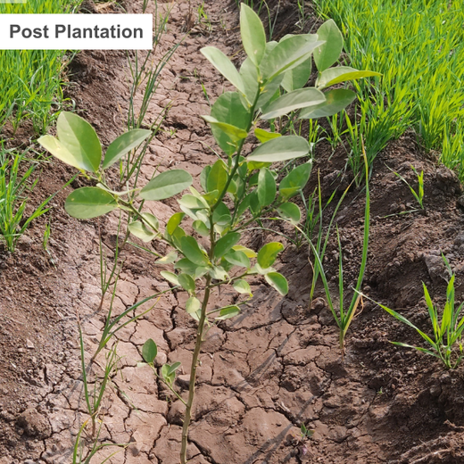 Dr. Reddy’s Green Commitment for Every Connection at CPHI Milan 2024 – 6 months