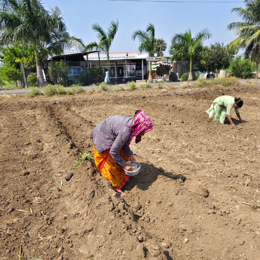 Dr. Reddy’s Green Commitment for Every Connection at CPHI Milan 2024 – Planting
