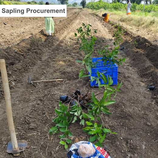 Dr. Reddy’s Green Commitment for Every Connection at CPHI Milan 2024 – Planting