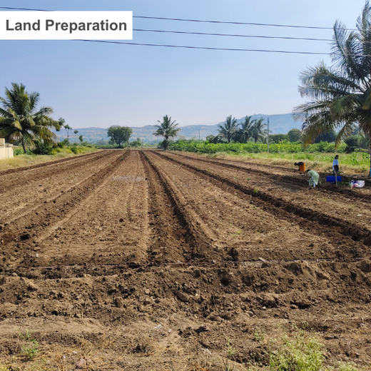 Dr. Reddy’s Green Commitment for Every Connection at CPHI Milan 2024 – Planting