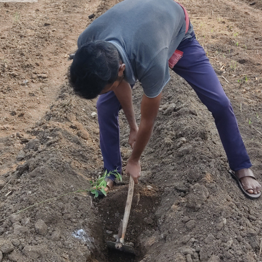 Dr. Reddy’s Green Commitment for Every Connection at CPHI Milan 2024 – Planting