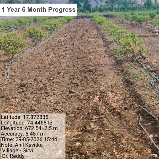 Dr. Reddy’s Green Commitment for Every Connection at CPHI Milan 2024 – 2 years