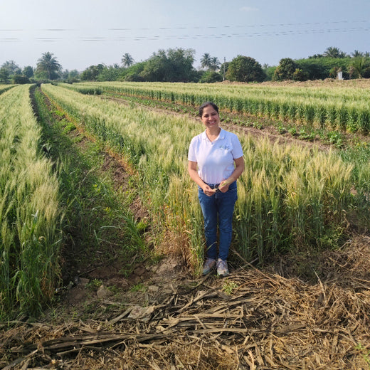 Planting Impact at CPHI India 2024: Dr. Reddy’s Agroforestry Journey – 2 years