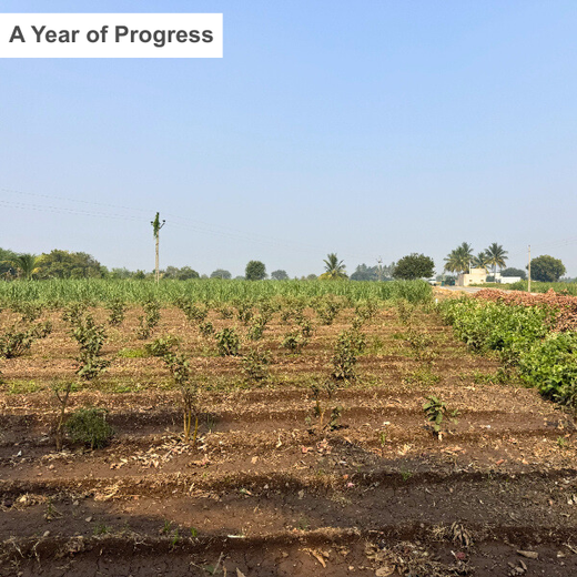 Dr. Reddy’s Green Commitment for Every Connection at CPHI Milan 2024 – 1 year