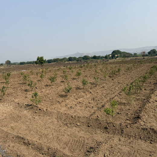Dr. Reddy’s Green Commitment for Every Connection at CPHI Milan 2024 – 1 year
