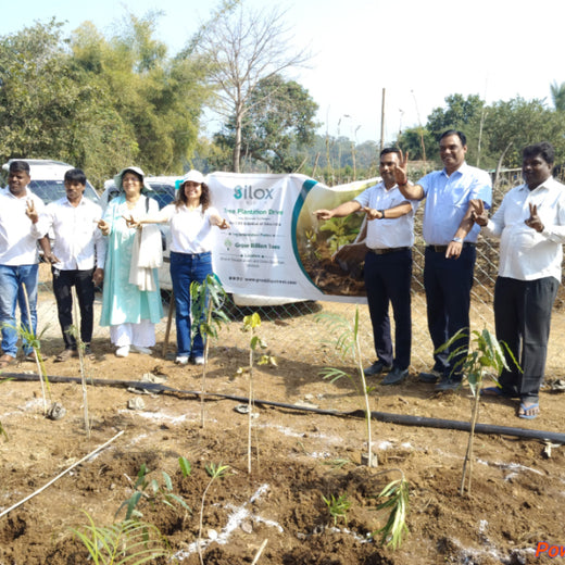 Dolara Village Blossoms: Silox India’s Miyawaki Green Legacy – 6 months