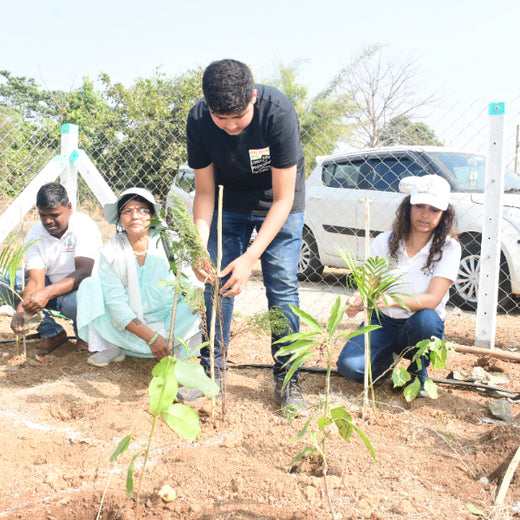 Dolara Village Blossoms: Silox India’s Miyawaki Green Legacy – 6 months
