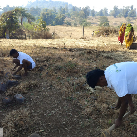 Dolara Village Blossoms: Silox India’s Miyawaki Green Legacy – Planting