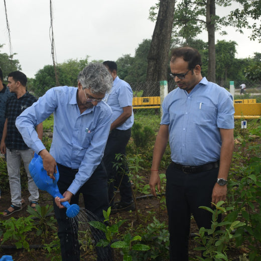Dolara Village Blossoms: Silox India’s Miyawaki Green Legacy – 3 years
