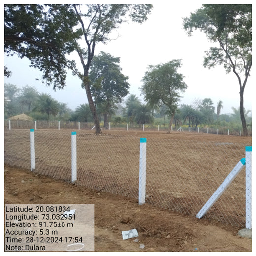 Dolara Village Blossoms: Silox India’s Miyawaki Green Legacy – Planting
