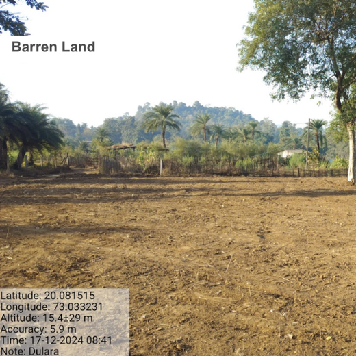 Dolara Village Blossoms: Silox India’s Miyawaki Green Legacy – Planting