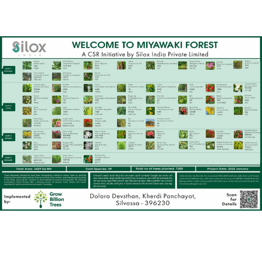 Dolara Village Blossoms: Silox India’s Miyawaki Green Legacy – 3 years