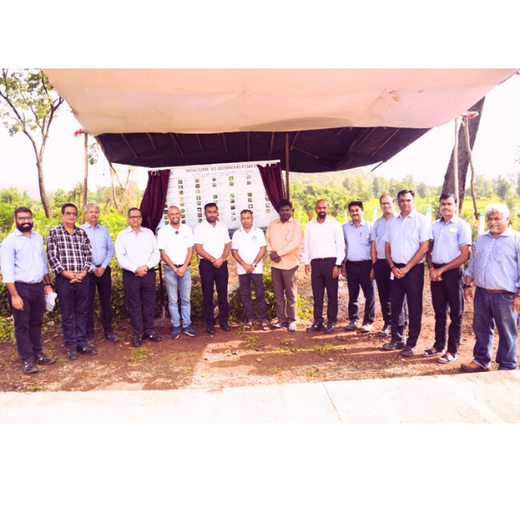 Dolara Village Blossoms: Silox India’s Miyawaki Green Legacy – 3 years