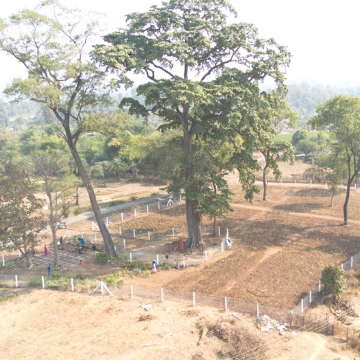 Dolara Village Blossoms: Silox India’s Miyawaki Green Legacy – Planting