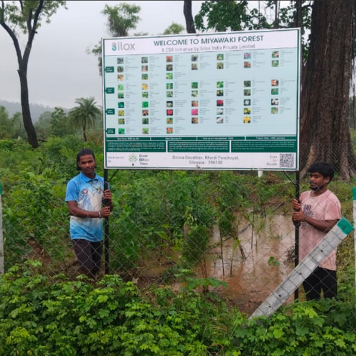 Dolara Village Blossoms: Silox India’s Miyawaki Green Legacy – 3 years