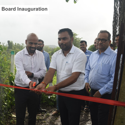Dolara Village Blossoms: Silox India’s Miyawaki Green Legacy – 3 years