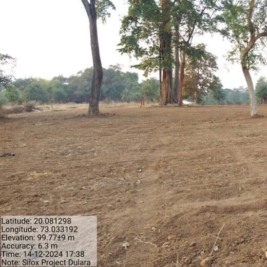 Dolara Village Blossoms: Silox India’s Miyawaki Green Legacy – Planting