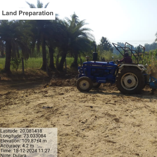 Dolara Village Blossoms: Silox India’s Miyawaki Green Legacy – Planting