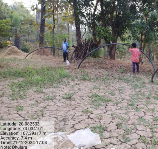 Dolara Village Blossoms: Silox India’s Miyawaki Green Legacy – Planting