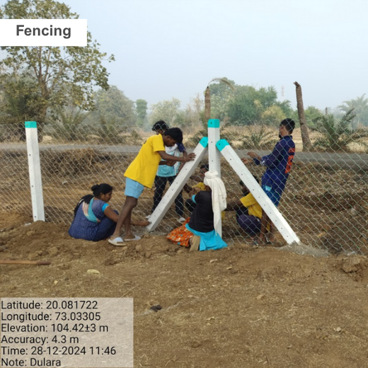 Dolara Village Blossoms: Silox India’s Miyawaki Green Legacy – Planting